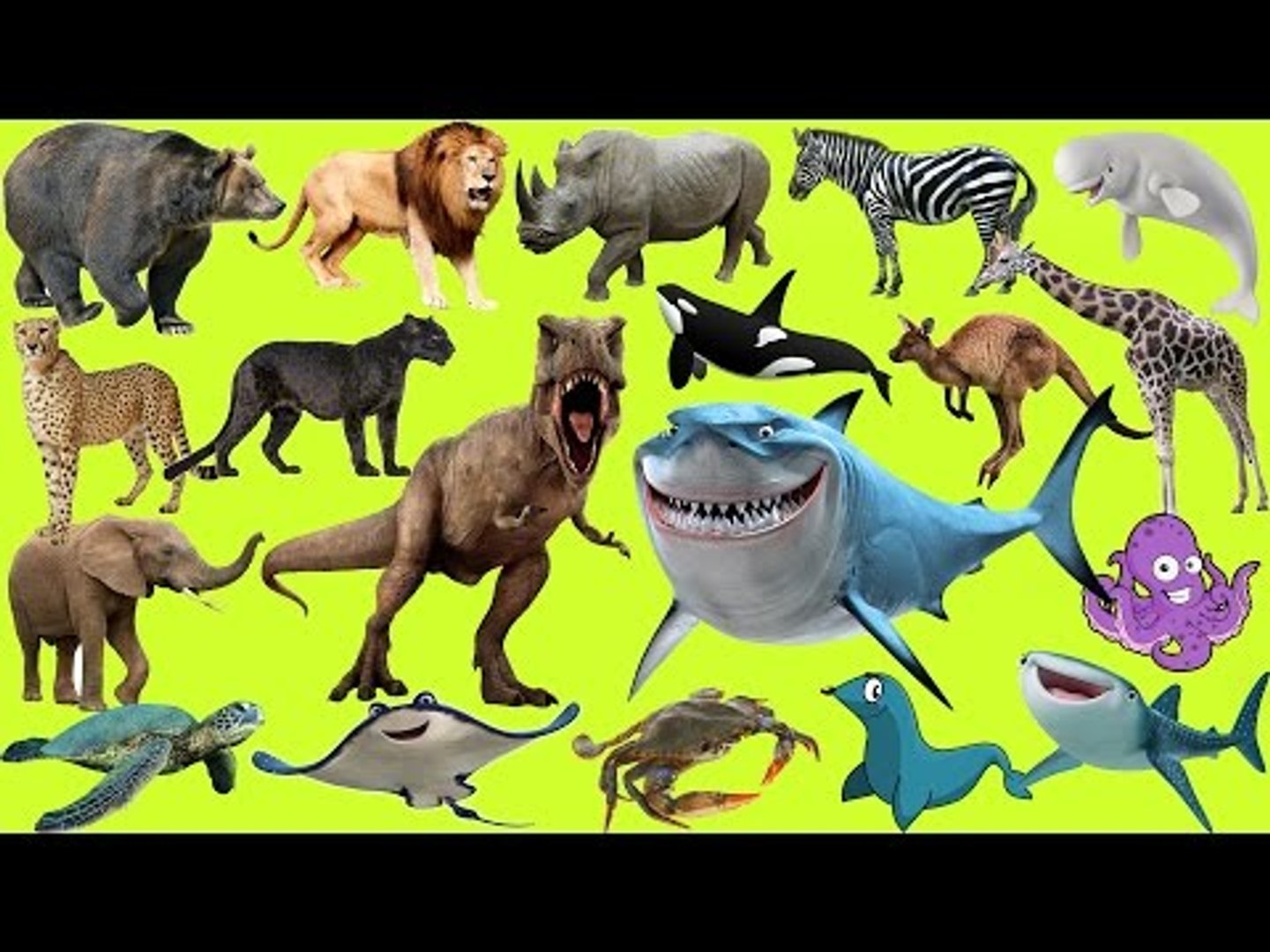⁣Learn Animals for Kids | Sea Animals | Wild Animals | Farm Animals | Dinosaurs for Kids - 50 MIN