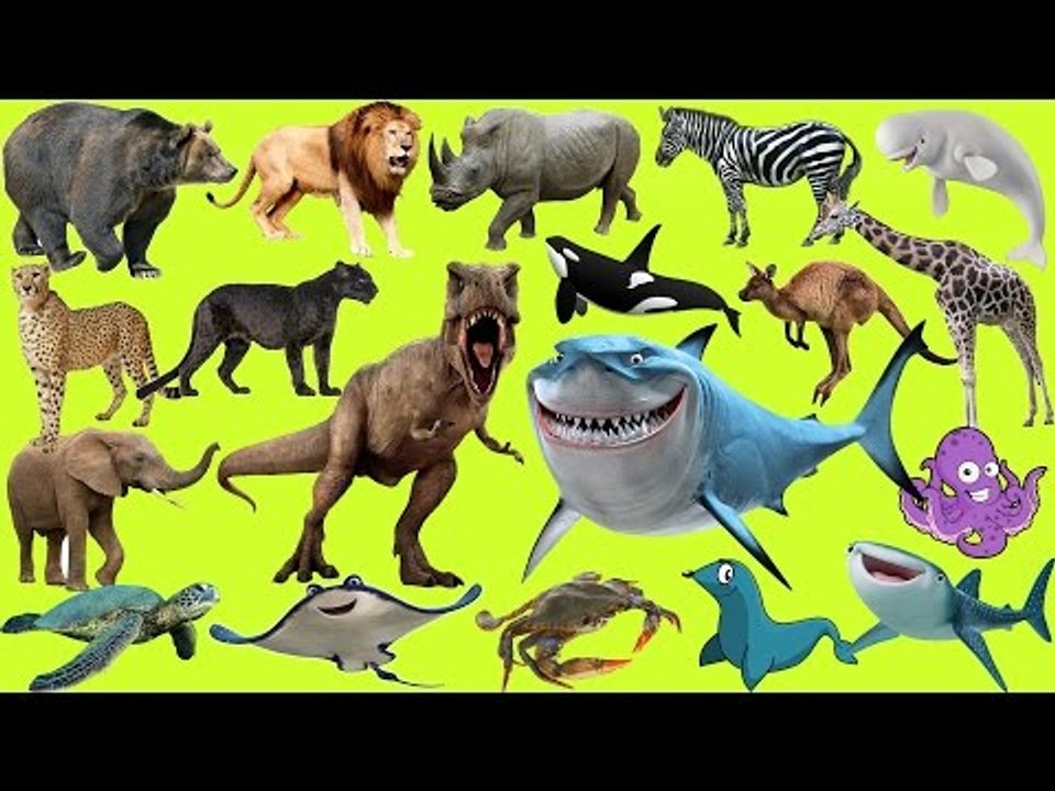 Learn Animals for Kids | Sea Animals | Wild Animals | Farm Animals | Dinosaurs for Kids - 50 MIN