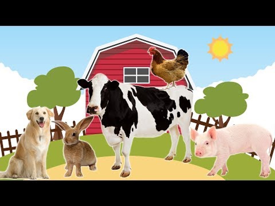 Animals Farm for Children, Farm Animals Nursery Rhymes Songs for Kids
