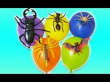 NEW Finger Family Song with Insects Wet Balloons - Learn Colors Nursery Rhymes songs for children
