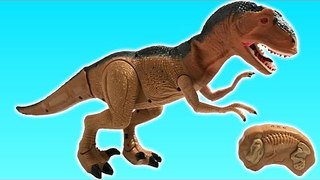 Dinosaur Toys Adventure | Dinosaur Toys for Children | Fun Toldder Learn Animals