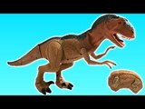 Dinosaur Toys Adventure | Dinosaur Toys for Children | Fun Toldder Learn Animals