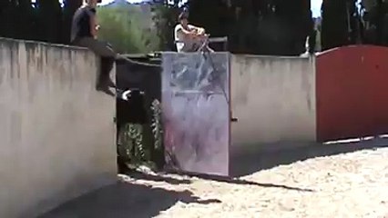 Amazing bullfight - bull vs.horse