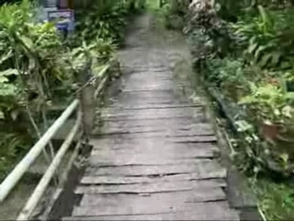 Waterfall Restaurant in ChiangMai