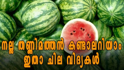 Tips To Pick the Best Water Melons | Oneindia Malayalam