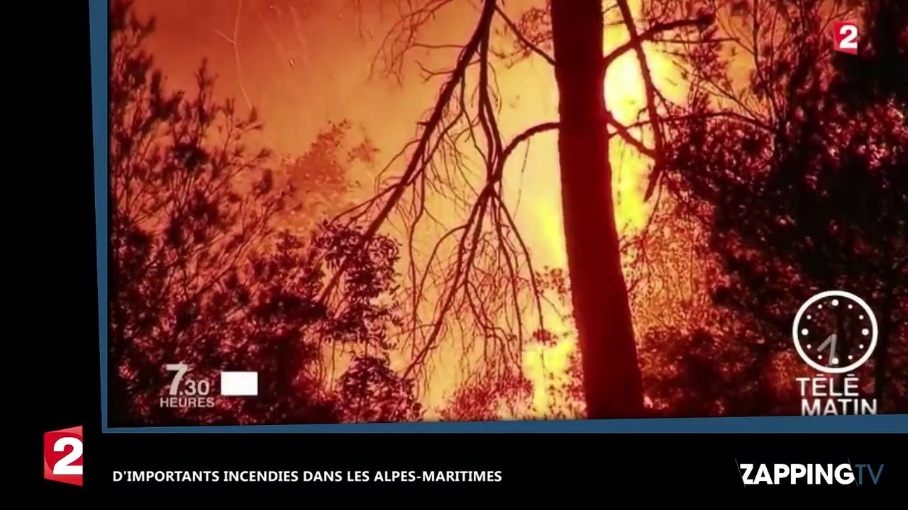 Alpes-Maritimes et Corse : D’importants incendies ravagent plusieurs hectares (vidéo)