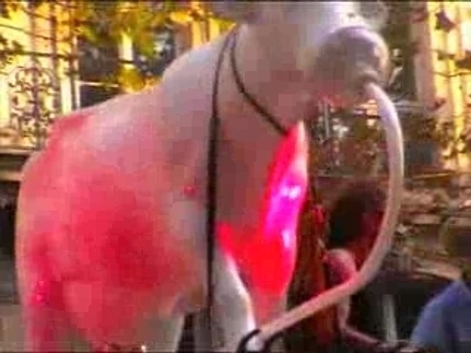 Technoparade 2007
