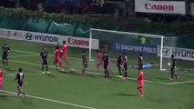 Albirex Niigata 1:0 Geylang International (Singapore Cup. 18 July 2017)