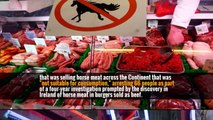 Police in Europe Break Up Network Selling Illegal Horse Meat