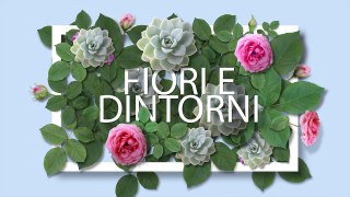 La Rosa - con gli Esperti di Flover