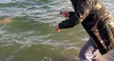 Çorumlu Balıkçı, Sazan Beklerken Dev Yayın Balığı Yakaladı