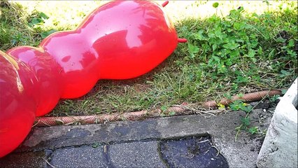 Giant Worm wet balloons pop under car - Learn Colours balloon for children Finger Family Compilation