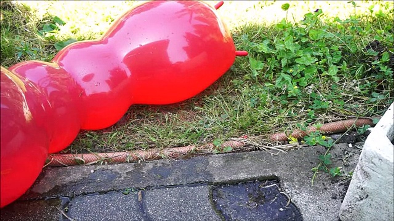 Giant Worm wet balloons pop under car - Learn Colours balloon for children Finger Family Compilation