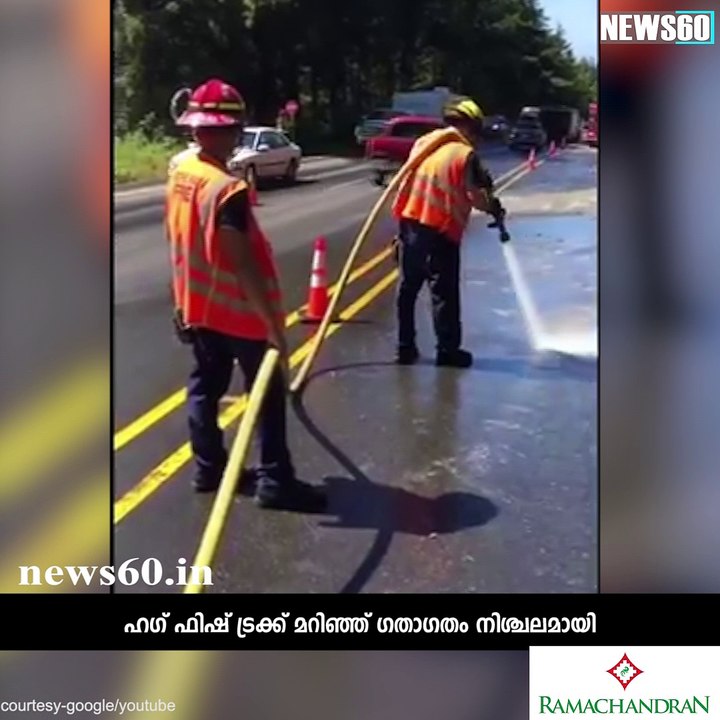 'Slime Eels' Explode on Highway After Bizarre Traffic Accident