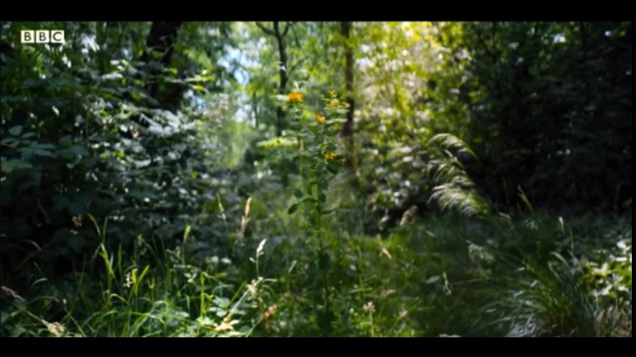 13th Doctor reveal response