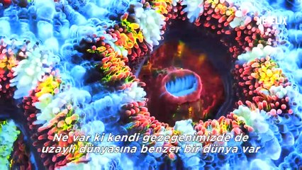 Mercan Peşinde - Chasing Coral (2017) Fragman