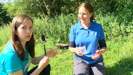 The Lowdown Leeds - 17th July