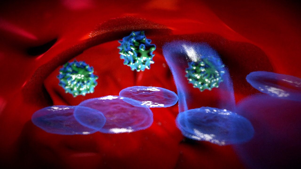 Vaccination et sytème immunitaire