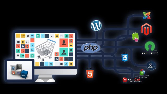 Web Designing, Web Development & SEO Company in India