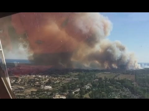 Roma - Incendio alla pineta di Castel Fusano vicino Ostiense (18.07.17)