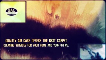Renew Your Carpet With Our Cleaning Services