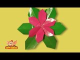 Arts and Crafts - Origami - Origami - Let's make a Poinsettia Flower
