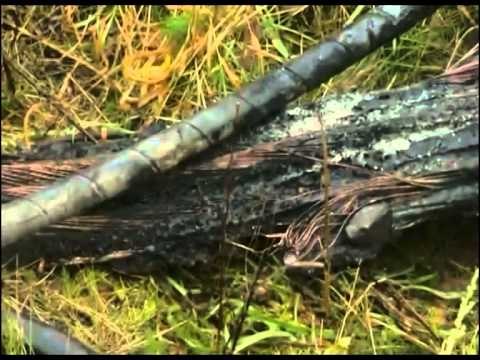 TRENAT NE GJERMANI SHMANGET SULMI I TRETE BRENDA TRE DITEVE LAJM