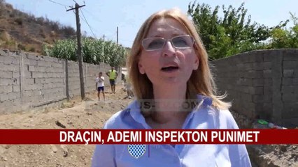 DRAÇIN, ADEMI INSPEKTON PUNIMET