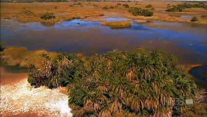 Kalahari 2 The Flooded Desert (Nature Documentary)