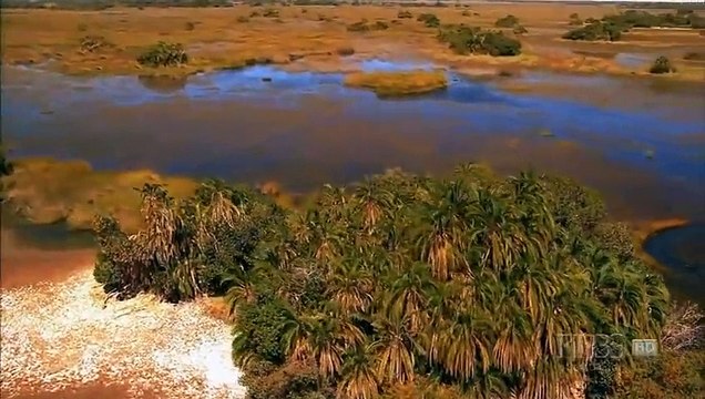 Kalahari 2 The Flooded Desert (Nature Documentary)