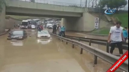 Selden timsah yürüyüşüyle kurtulmaya çalıştılar