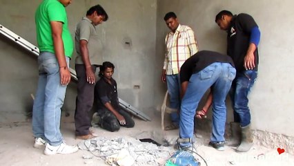 Donkey trapped chest-deep in sewage under building rescued