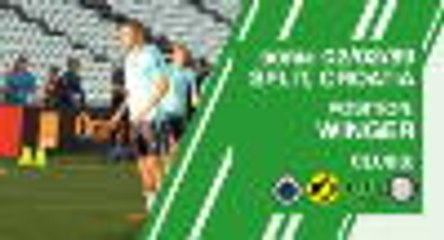 Ivan Perisic - player profile