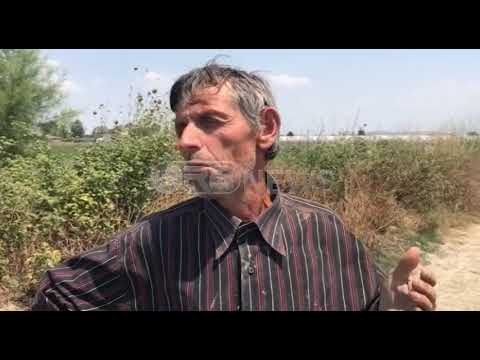 Ora News - Fier, mungon vaditja në 30 për qind të sipërfaqes së mbjellë bujqësore
