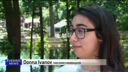 Farm Underwater After Family Cancels Flood Insurance to Pay Medical Bills
