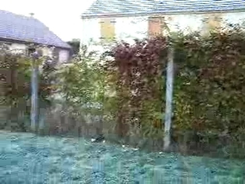 Gelée blanche+Nuit Blanche