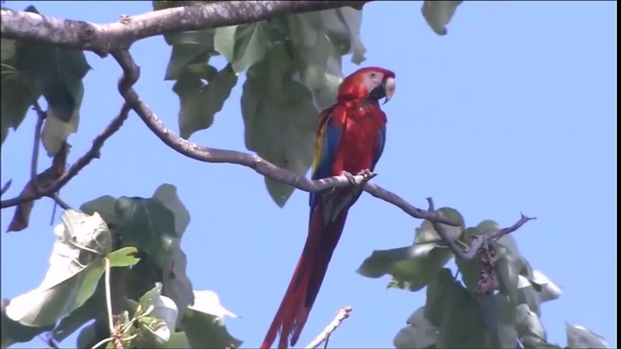Ömer Suman : Gece kirpikli kadın