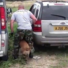 This dog is so loyal it’s seriously impressive