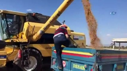 İlk Kez Biçerdöverle Nohut Hasadı Yaptılar