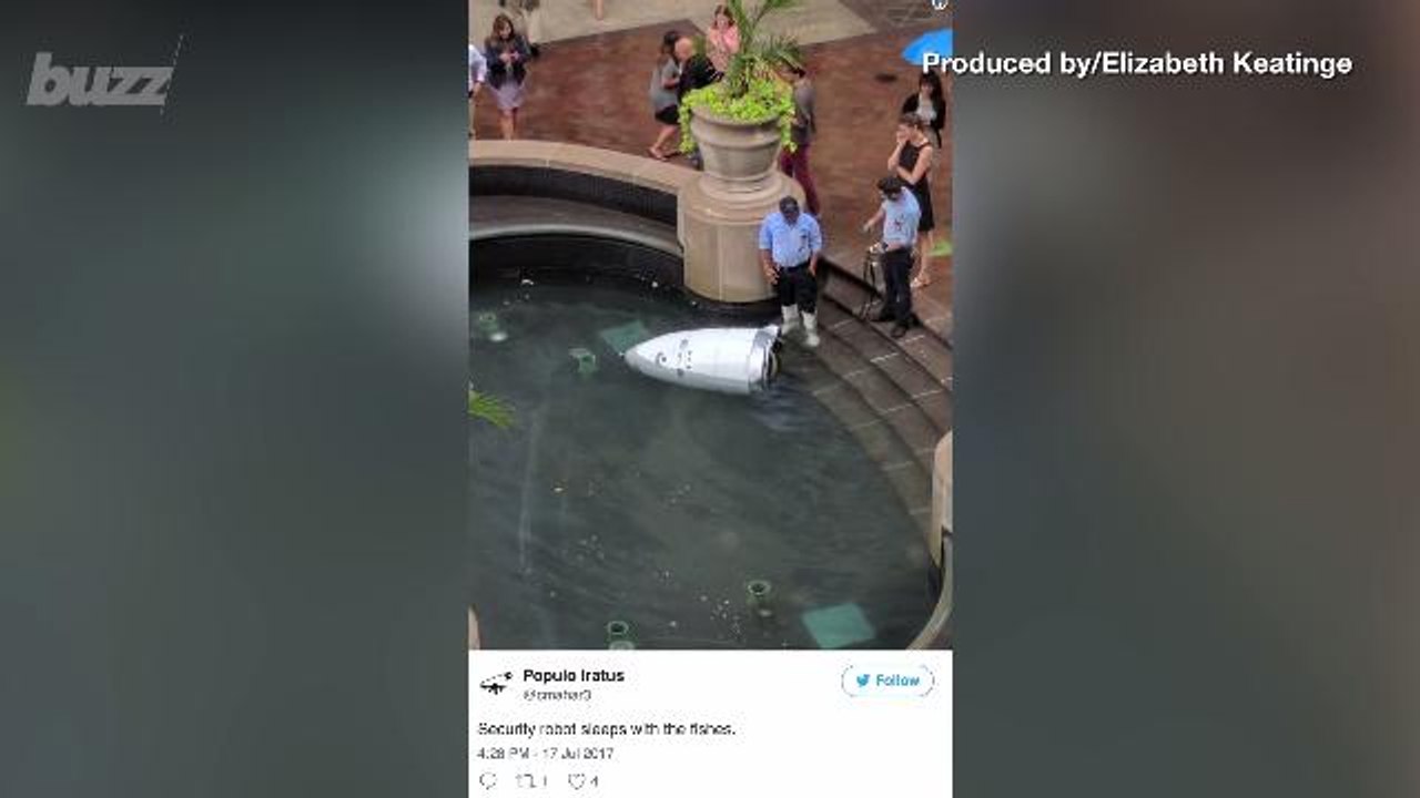 Security Robot Quits Job By Falling in Office Fountain