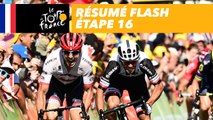 La course en 30 secondes - Étape 16 - Tour de France 2017