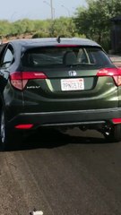 Bobcat Attacks Man, German Shepard and Good Samaritan