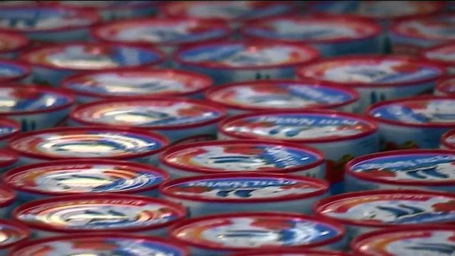 Pêche au thon : la victoire de Greenpeace