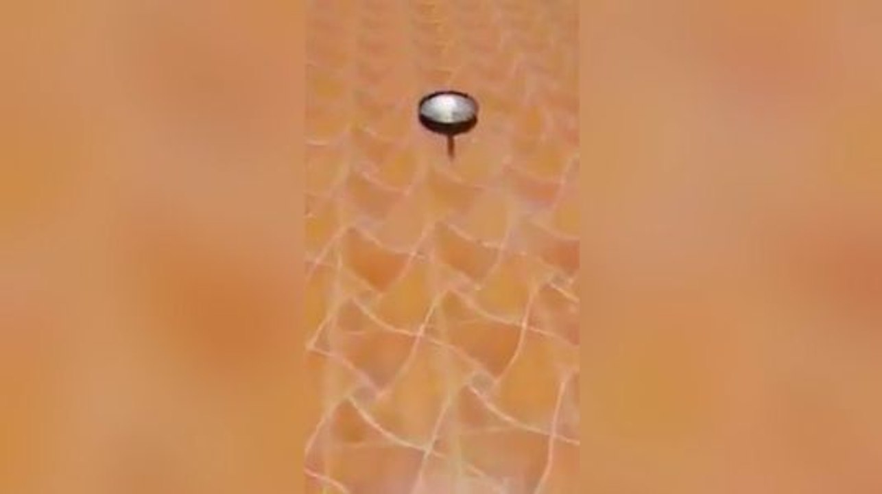 Quand il fait tellement chaud dehors que tu n'as pas besoin de gazinière !