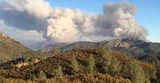 California's Detwiler Wildfire Burns 15,500 Acres
