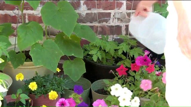 Woman Exposed to Weed Killer Chemical, Now Battling Cancer, Vows to Fight Monsanto