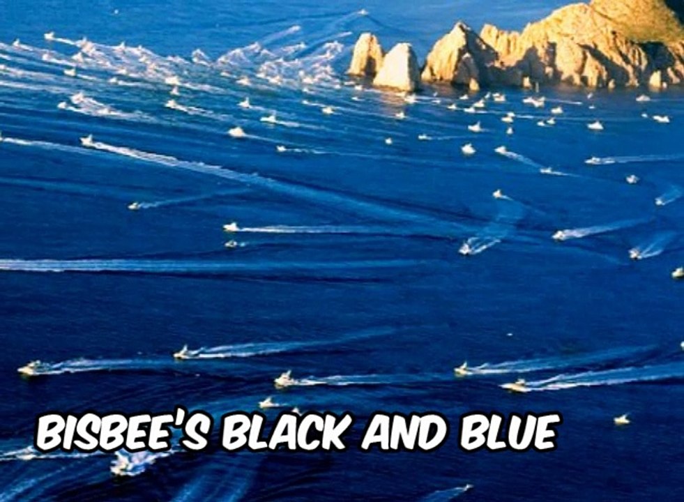 Conoce los torneos más grandes de pesca con Erwin Miyasaka