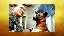 ✔ His pet dog King Bhumibol Adulyadej [TH]™