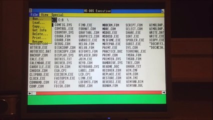 Windows 1.01 Destruction