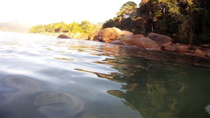 Expedição Tartaruga Marinha, Ubatuba, SP, Brasil, 2017, mares, praias, apneia contemplativa, ap